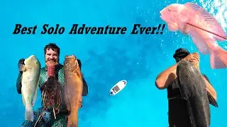 Слишком много рыбы — лучший день для рыбалки/подводной охоты!!!