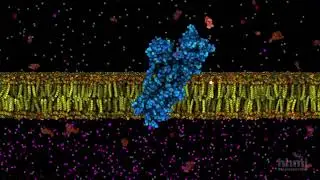 ATP: The Cellular Energy Currency