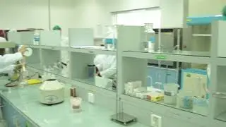 Saffron Documentary