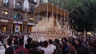 🔴Virgen de la Salud Por calle San Pablo Semana santa Sevilla 2024 Hdad San Gonzalo