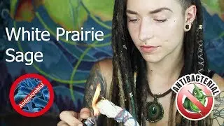 BURNING SAGE: Does it REALLY Work? | Science Behind Smudging