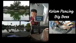 BEST FISHING! KOLAM PANCING BIG BOSS, PADU !!
