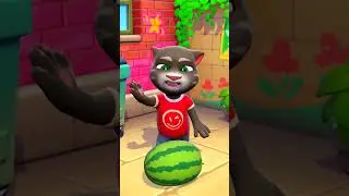 Watermelon vs Tom &ndash; Guess Who Wins? 😬🍉🐱