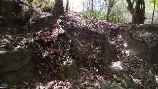 Resenha de bananeira a bica do t&uacute;nel em Bananeiras 😊👏