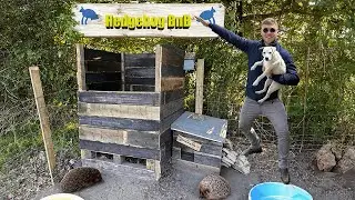 I Built A Hedgehog BnB From Our Leftover Scrap Wood.