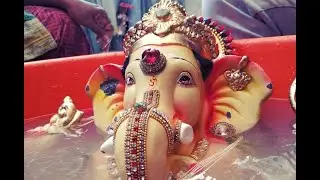 Eco-friendly Immersion of POP Ganesh Idols with CSIR-NCL technology