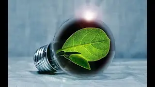 LOCOMOTION: 5 tips for climate proof policies