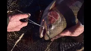 Drifting Flies At The Tekapo Canal For HUGE Trout On Light Gear.