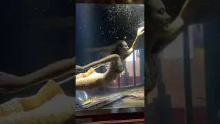 Mermaid Felicia with Fins performing in an Aquarium