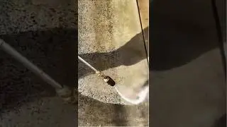 This $0 Trick Makes Your Driveway Look Brand New!