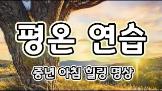 🧡 평온 연습｜중년 아침 힐링 명상｜마음을 차분히 다잡는 하루의 시작 🌱 아침 9시 · 저녁 9시, 중년의 하루를 지켜주는 치유 명상｜#MeditationMusic 🍃#중년명상음악