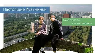 Кузьминки: честно о районе