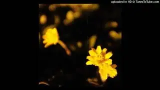 макулатура - Шкура