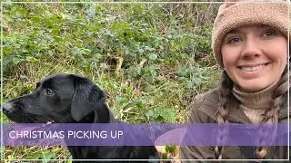 Christmas shoot day turned into a vets trip!