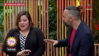 &iquest;Qu&eacute; es un perro de servicio y cu&aacute;l es su funci&oacute;n? | Sale el Sol