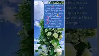 #Свадьба#Сочи организатор Виктория Амирова #загс #wedding #свадьбамосква #short #выезднаярегистрация