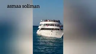 تخيل لو كنت معاهم اكيد  هتعمل زيهم