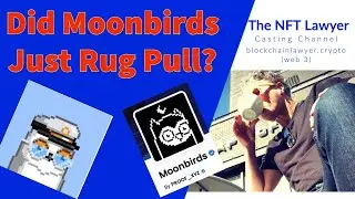 Moonbirds Rug Pull? Anyone can now use Moonbirds NFT art freely without any copyright restrictions.
