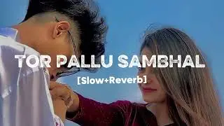 S_Z_EDITZ~ TOR PALLU SAMBHAL GORIYA [SLOW+REVERB] !! TRENDING SONG !!