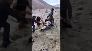 It is not easy for everyone to go to Ladakh 🏔️🇮🇳 #ladakh #umlingla #viralshort #viralvideo #leh