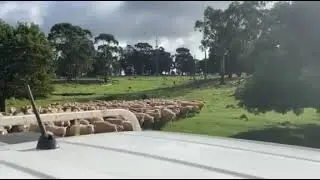 Low stress handling