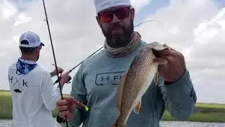 Fresh n Salty