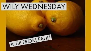 Stop dishwasher smells naturally - Wily Wednesday 1. Quick Tip