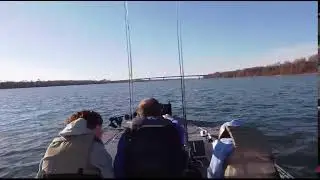 Benton and Blaine - Bayside Fishing Team - LIVE ON WHEELER LAKE