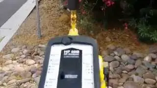 Oleander Bushes Absorb Fake Saguaro Cell Tower & Smart Meter Radiation