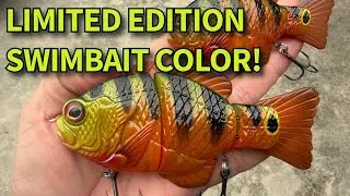 Эксклюзивная расцветка приманки Synch Swimbait (всего выпущено 300 экземпляров!)