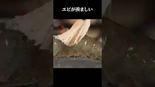 エビが羨ましい