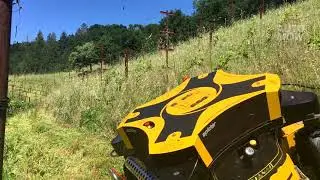 Vineyard Mowing Demo in California's Wine Country | AutoMow