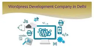 Give Best Service Wordpress Development Company in Delhi