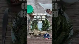 Backyard Bird Feeder Hack #backyardbirds #birds #birdfeeding #birdfeeder