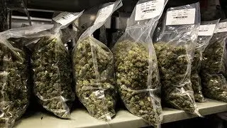 Canopy stock options making &lsquo;dozens and dozens&rsquo; of paper millionaires: Co-CEO