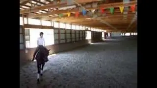Alex Robertson Dressage Clinic
