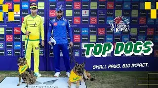 Paws of Joy at The Bullring | Therapy Top Dogs x Joburg Super Kings