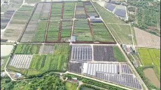 Foshan Greenworld Nursery Co., Ltd----Professional Plants producer & Exporter in China