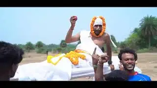 Desi cricket
