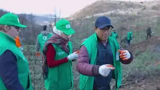 Action RSE Reboisement - forêt El Krib, Séliana