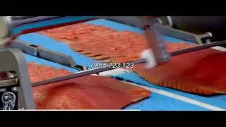 Cắt l&aacute;t - slice c&aacute; hồi