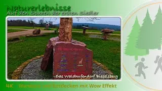 Das Geheimnis der ersten Siedler: Die historischen #Waldhufend&ouml;rfer am Beispiel #Bieselsberg