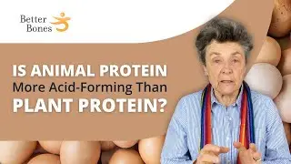 Is ANIMAL Protein More ACID-FORMING Than PLANT Protein?