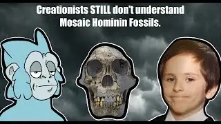 Креационисты до сих пор не понимают мозаичные окаменелости гоминидов (ВНИМАНИЕ: ДЛИННО)