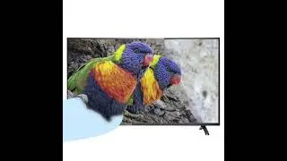4K UHD Android TV 42 55 65 72 inch curved tv