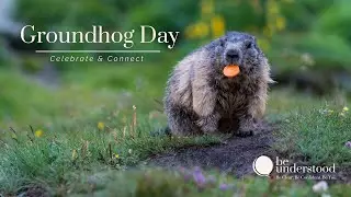 Did He See His Shadow? The Groundhog Day Story