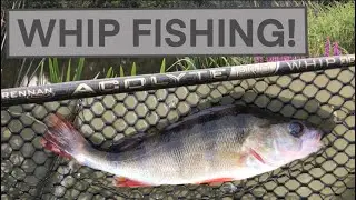 Drennan Acolyte Pro Whip - River Fishing