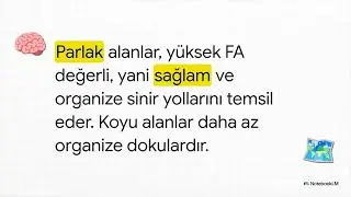 Beynin Otoyollarını Haritalamak