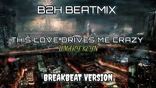 DJ THIS LOVE DRIVES ME CRAZY BREAKBEAT 2025 || B2H BeatMix ||