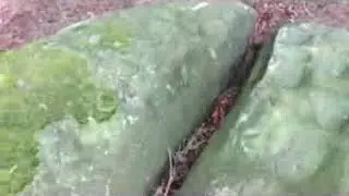Solar alignments, rock carvings and rock shelters BIG UPON LITTLE